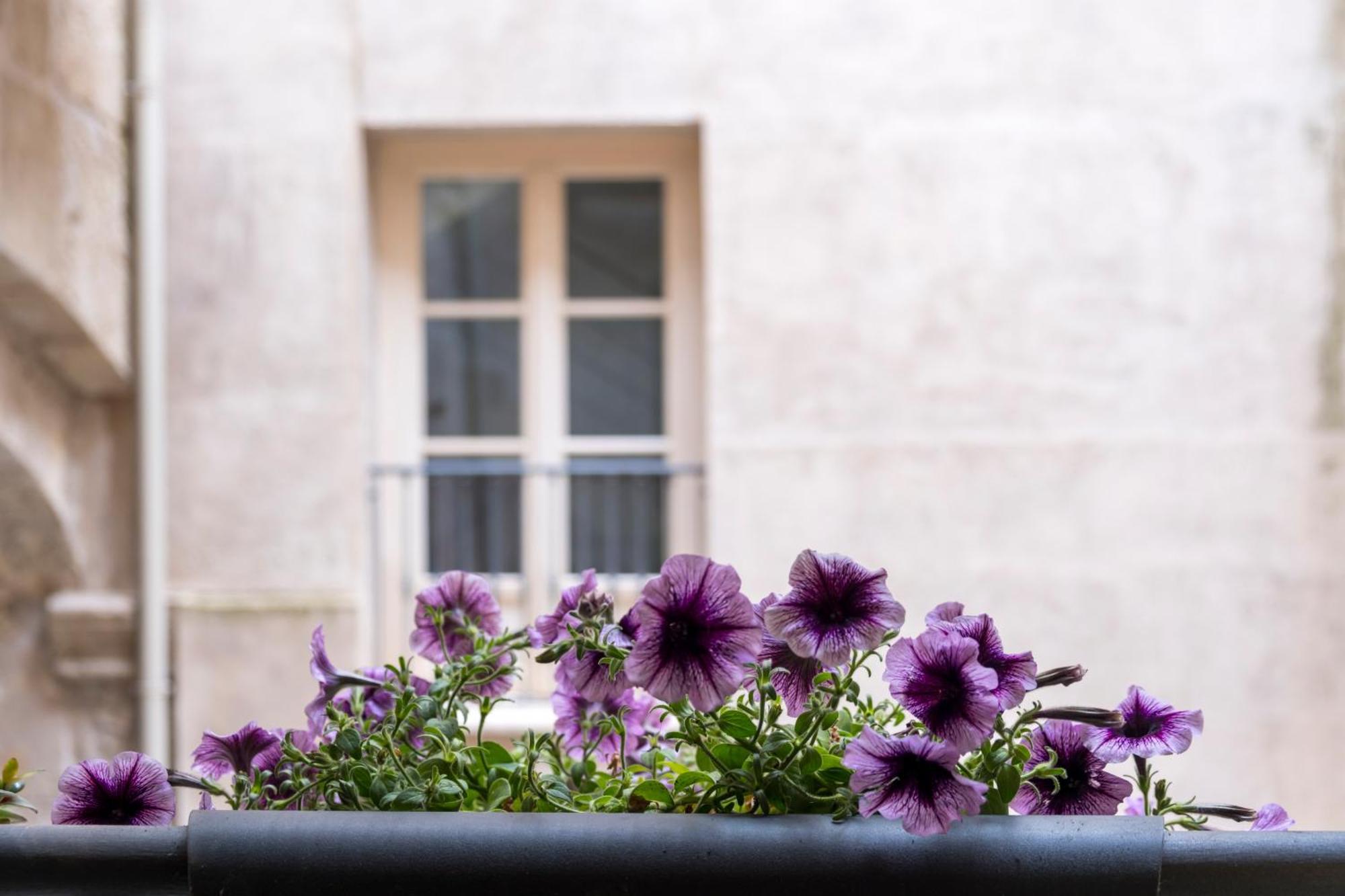 Tomasi Apartment Palermo Exteriér fotografie